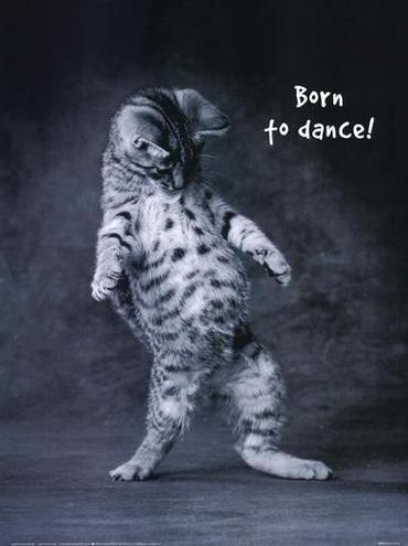 borntodance.jpg